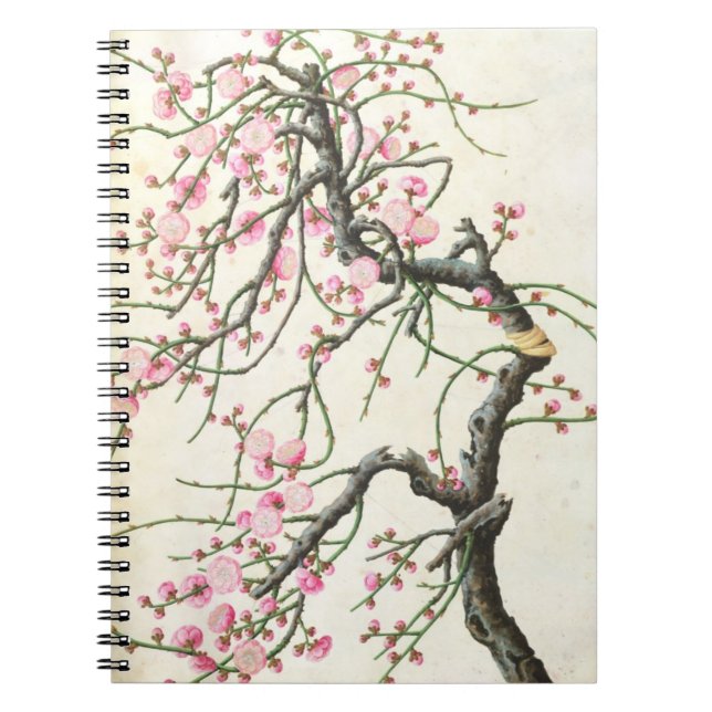 Peach blossom (colour on paper) notebook (Front)