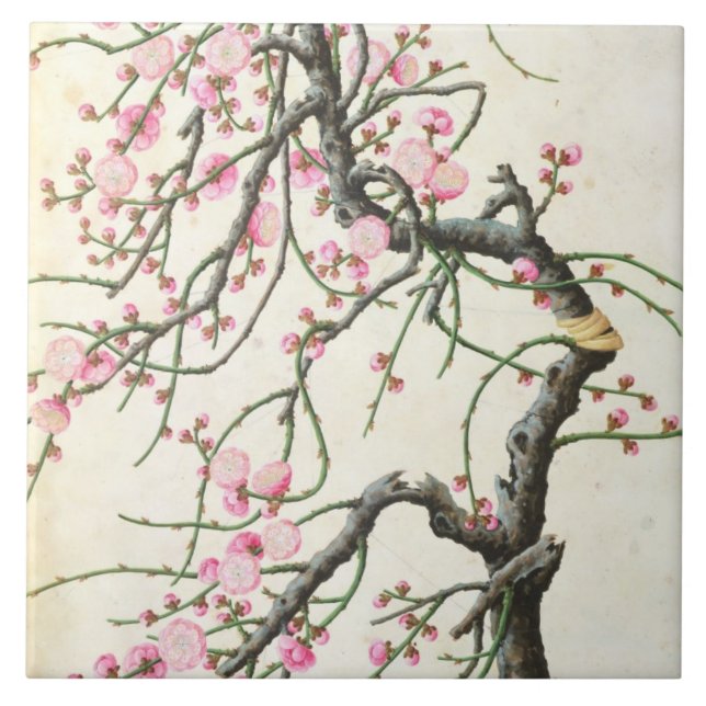 Peach blossom (colour on paper) tile (Front)