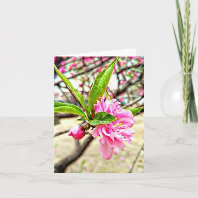 Peach Blossom Folded Thank You Card (Front)