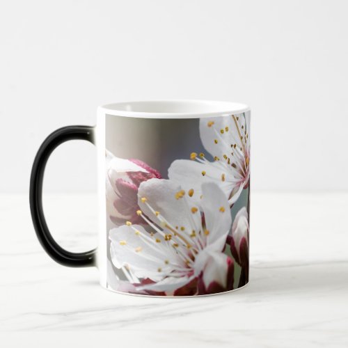 peach blossom in spring Two_Tone coffee mug