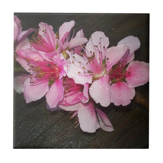 Peach Blossoms Ceramic Tile (Front)