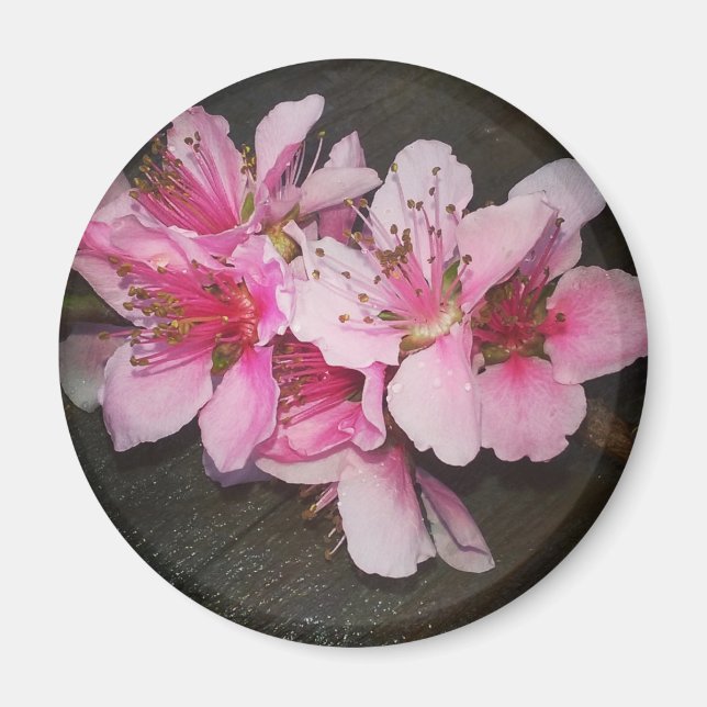 Peach Blossoms Magnet (Front)