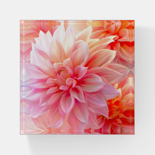 Peach Blush Dahlia Blossom Paperweight