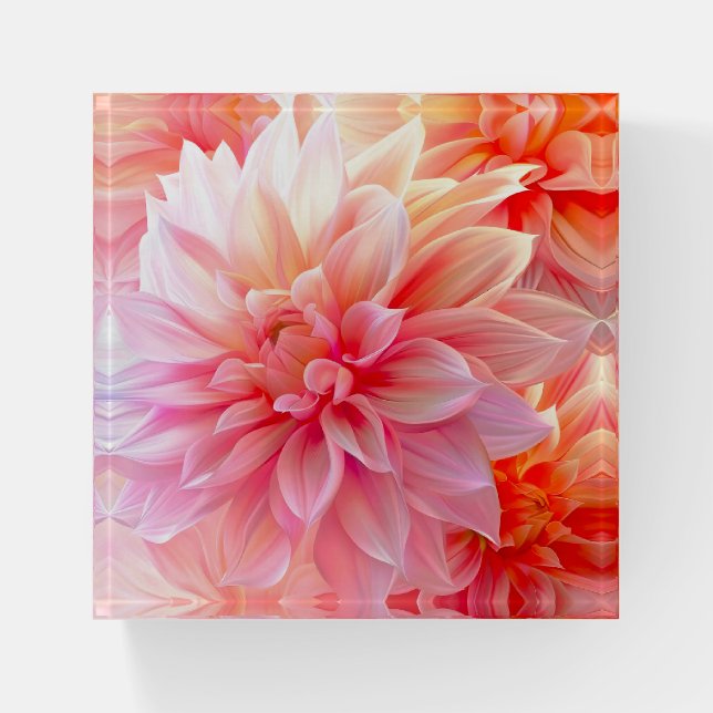 Peach Blush Dahlia Blossom Paperweight (Front)