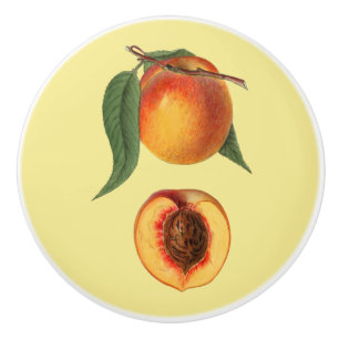Peach  ~ Botanical Fruit ~ Any Background Color ~ Ceramic Knob