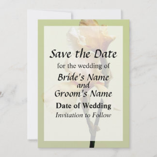 Peach Colored Irises Save the Date