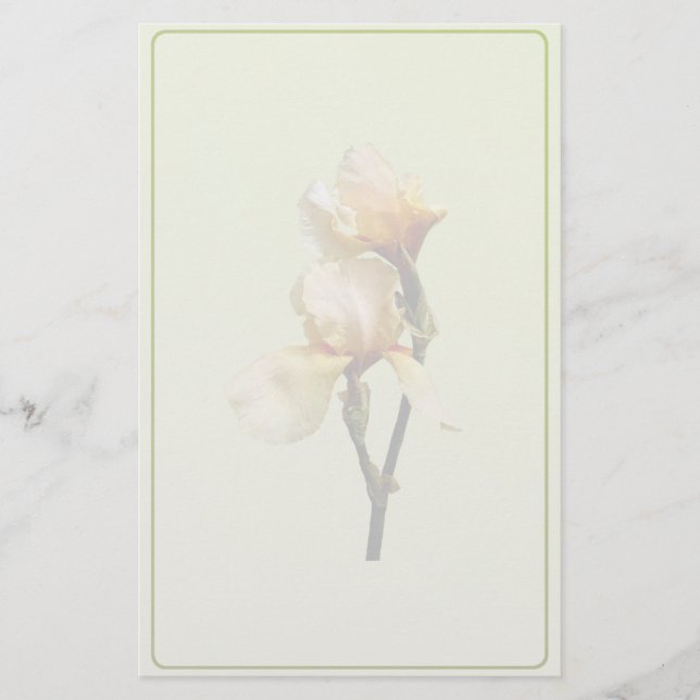 Peach Colored Irises Stationery (Front)
