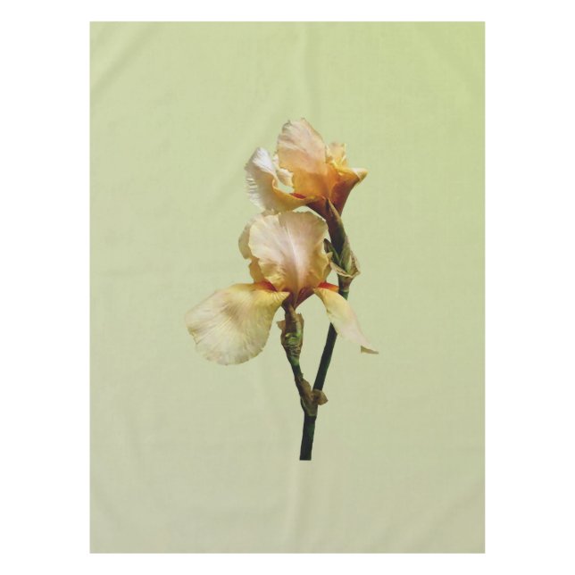 Peach Colored Irises Tablecloth (Front)