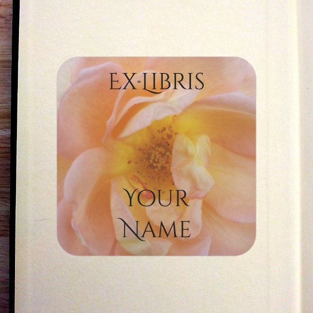 Peach-Colored Rose Bookplate (Peach-Colored Rose Bookplate in Old Book)