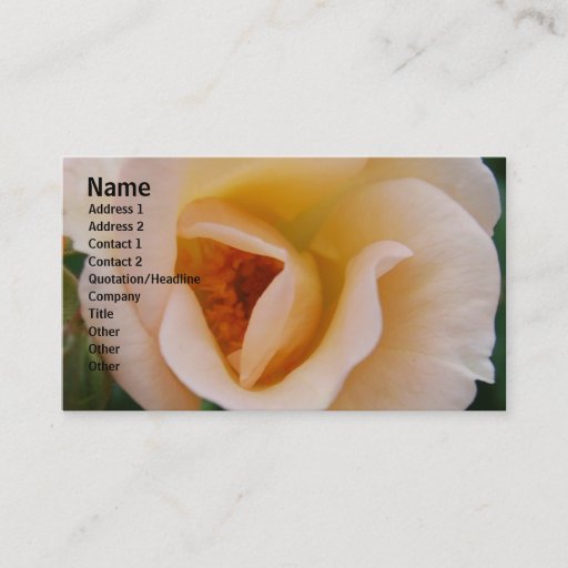 Customizable Peach Colored Rose Business Card Templates