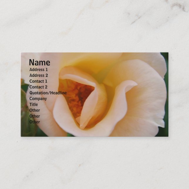Peach Colored Rose Business Card (Front)