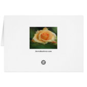 Peach Colored Rose On Canvas Cards (Back Horizontal)