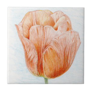 Peach Colored Tulip Ceramic Tile