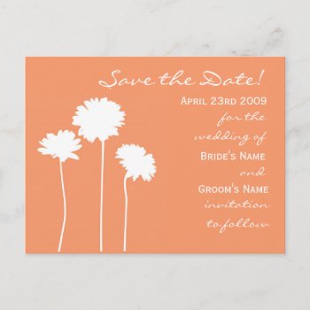 Peach Daisy Save The Date Announcement Postcard by designaline at Zazzle