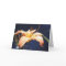 Peach Day Lily Greeting Card