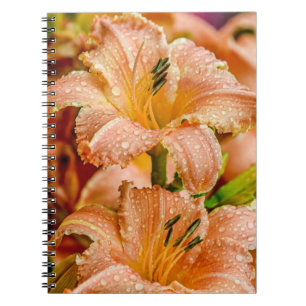 Peach Daylily Notebook