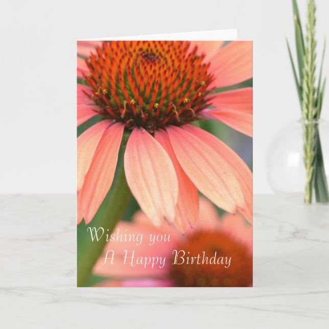 Peach Echinacea Flowers Card (Front)