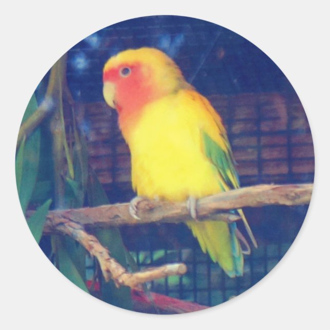Peach-faced Lovebird #1 Stickers (Front)