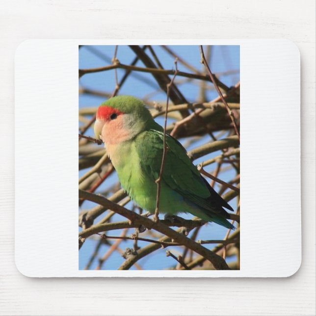 peach faced lovebird mouse pad (Front)