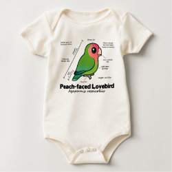 Peach-faced Lovebird Statistics Infant Organic Creeper