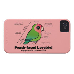 Peach-faced Lovebird Statistics Case-Mate iPhone 4 Barely There Universal Case