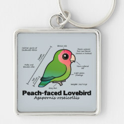 Peach-faced Lovebird Statistics Premium Square Keychain