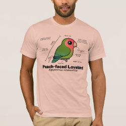 Peach-faced Lovebird Statistics Men's Basic American Apparel T-Shirt