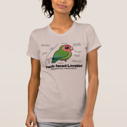 Peach-faced Lovebird Statistics Women's American Apparel Fine Jersey Short Sleeve T-Shirt