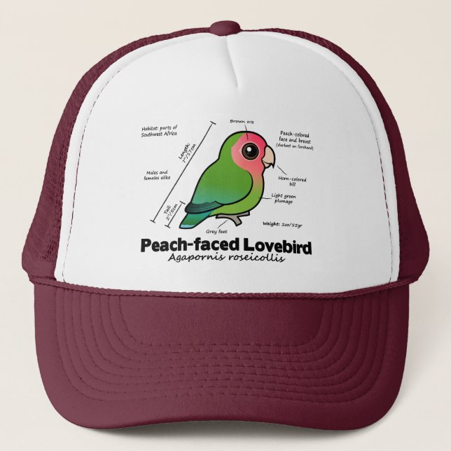 Peach-faced Lovebird Statistics Trucker Hat (Front)