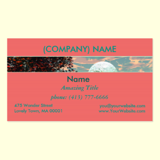 Peach Fantasy, Teal and Apricot Retreat Double-Sided Standard Business Cards (Pack Of 100)