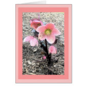 Peach Flower Card (Front)