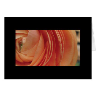 Peach Flower Cards