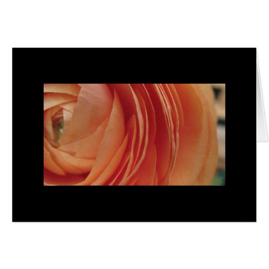 Peach Flower Cards (Front Horizontal)