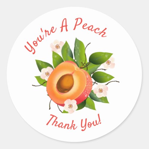 Peach Fruit Canning  Thank You Envelope Seal