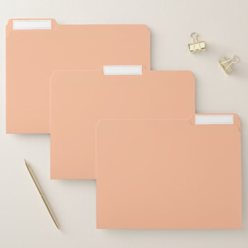 Peach Fuzz Solid Color File Folder