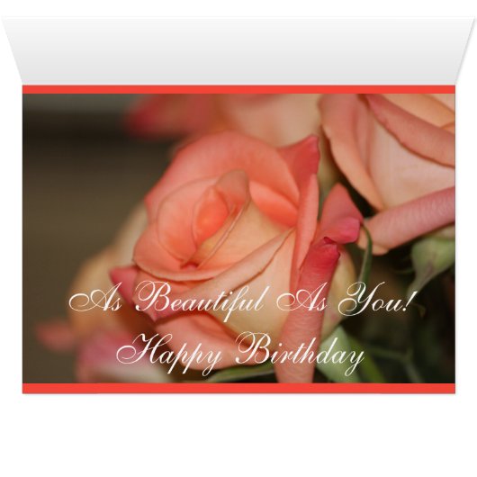 Peach Garden Roses (Inside Horizontal (Bottom))