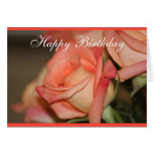 Peach Garden Roses (Front Horizontal)