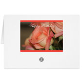 Peach Garden Roses Cards (Back Horizontal)