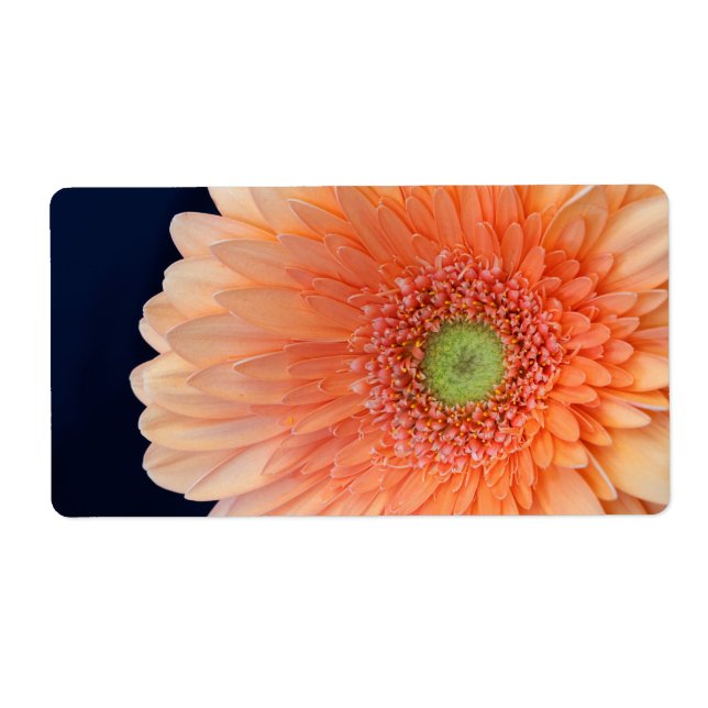 Peach Gerbera Label (Front)