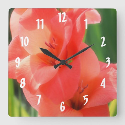 Peach Gladiolas Flower Up Close Square Wall Clock