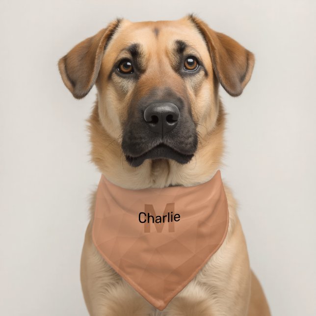 Peach gradient geometric mesh pattern Monogram Pet Bandana Collar (Dog 2)