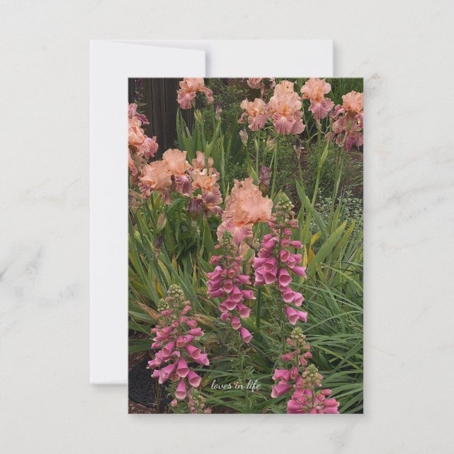 Peach Iris, Pink Foxglove Note Card (Front)