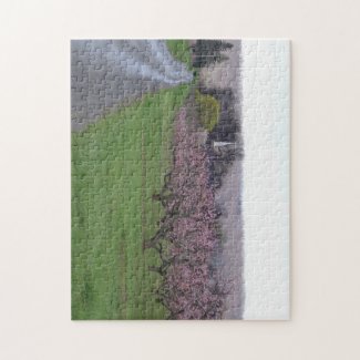 Peach Orchard Scene Jigsaw Puzzle