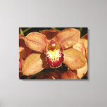 Peach Orchids with Raindrops Floral Canvas Print