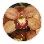 Peach Orchids with Raindrops Floral Ceramic Knob