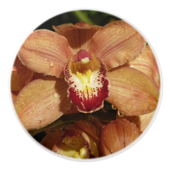 Peach Orchids with Raindrops Floral Ceramic Knob (Front)