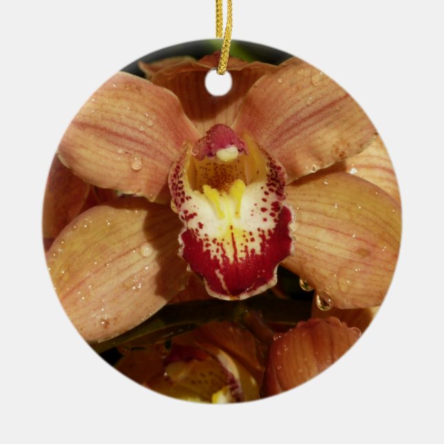 Peach Orchids with Raindrops Floral Ceramic Ornament (Front)