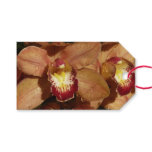 Peach Orchids with Raindrops Floral Gift Tags