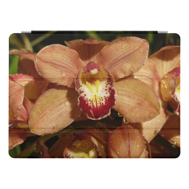 Peach Orchids with Raindrops Floral iPad Pro Cover (Horizontal)