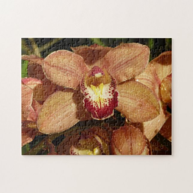 Peach Orchids with Raindrops Floral Jigsaw Puzzle (Horizontal)